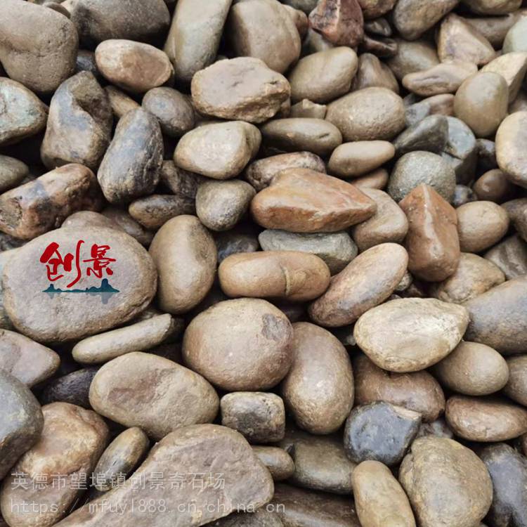 园林绿化铺路鹅卵石鹅卵石砾石雨花石厂家35cm景观鹅卵石