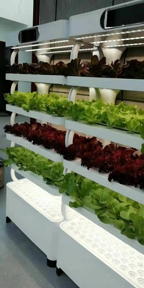 生态种植全智能生态菜养柜阳台屋顶种植智能蔬菜种植无土栽培