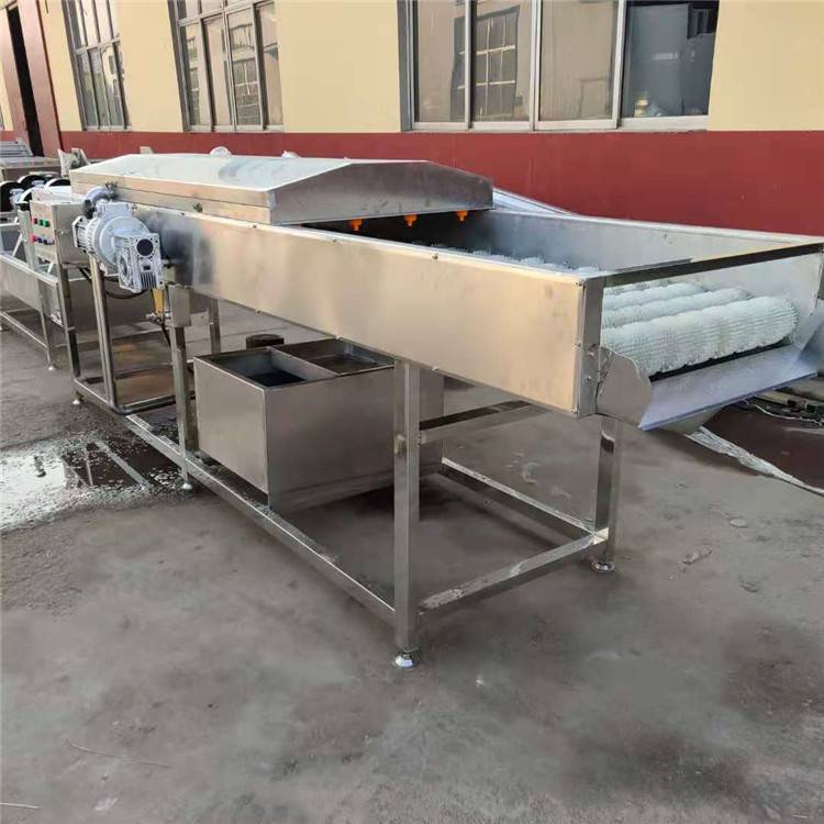景翔牌***清洗机 土豆去皮清洗机 猪头清洗机***加工制作