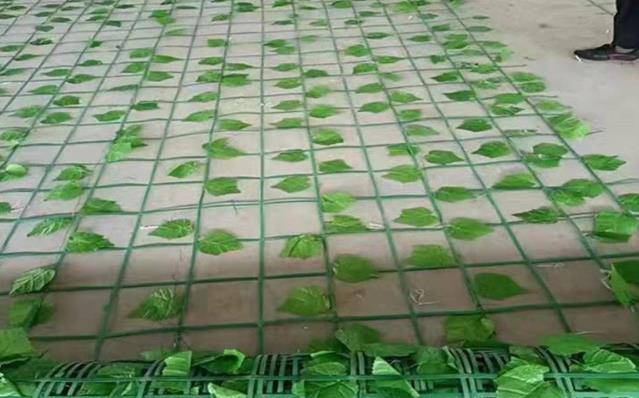 大理白族自治州洱源县仿真树叶网-绿化树叶网