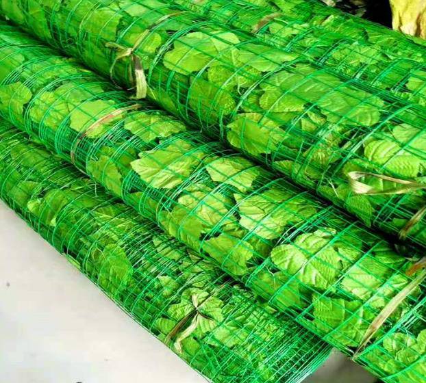 云南省昭通市大关县树叶网绿叶网-矿山复绿绿化网爬藤网