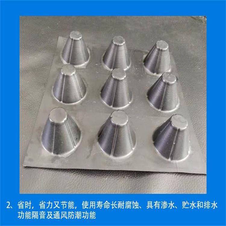 西昌蓄排水板厂家-泰东蓄排水板抗压300kpa