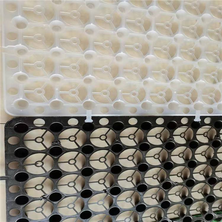 欢迎访问(延边蓄排水板厂家)延边屋面防渗滤水板集团