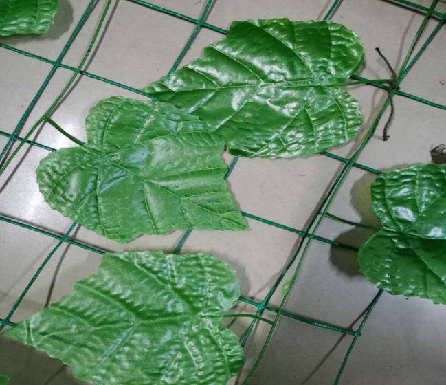 昆明市呈贡区树叶网绿叶网-山坡防滑坡树叶网