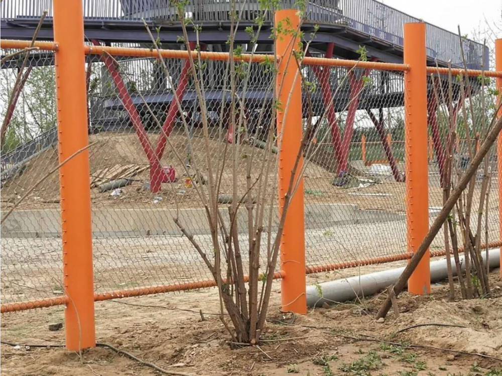 台州市学校安全防护网防坠网质量要求