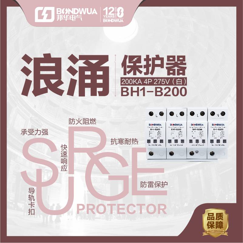 CPM-RH100T(3P)数字智能防雷系统