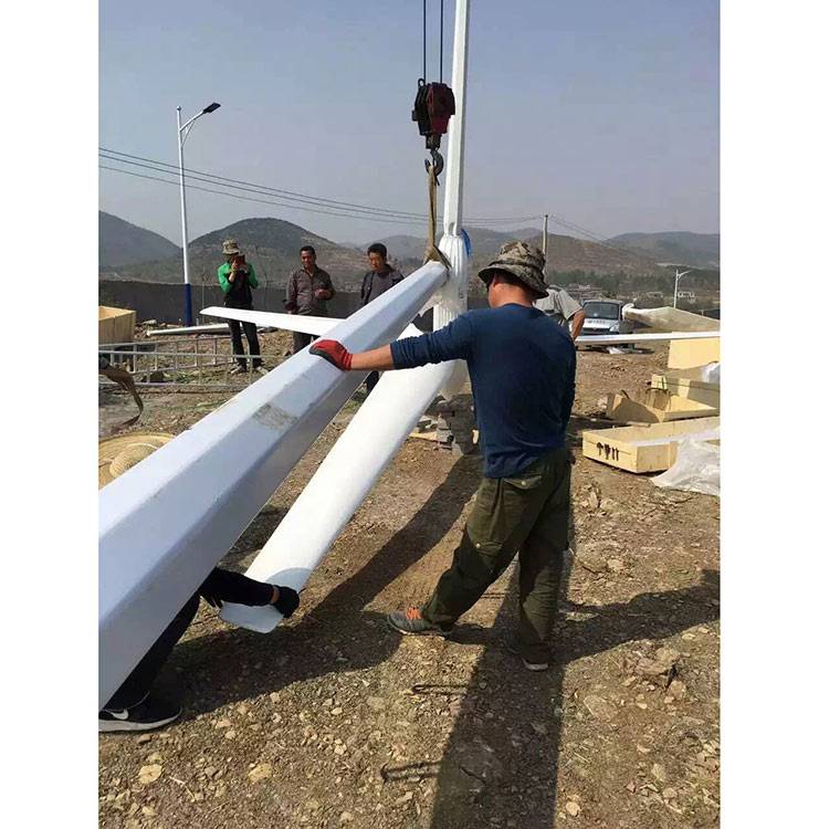 金家庄养殖风力发电机 1千瓦风力发电机 发电系统