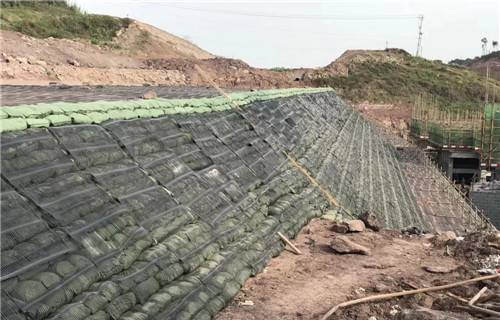 欢迎访问-临沧HDPE单向土工格栅临沧-实业股份集团