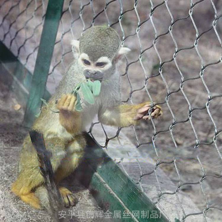 大型鸟鸟园顶网钢丝绳网安装说明