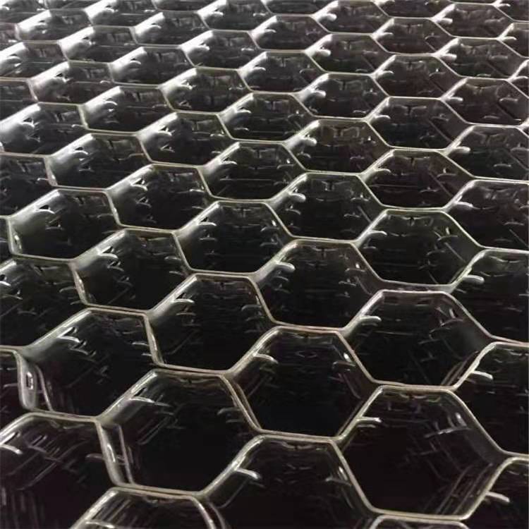 莎车龟甲网销售/新疆捷信金业