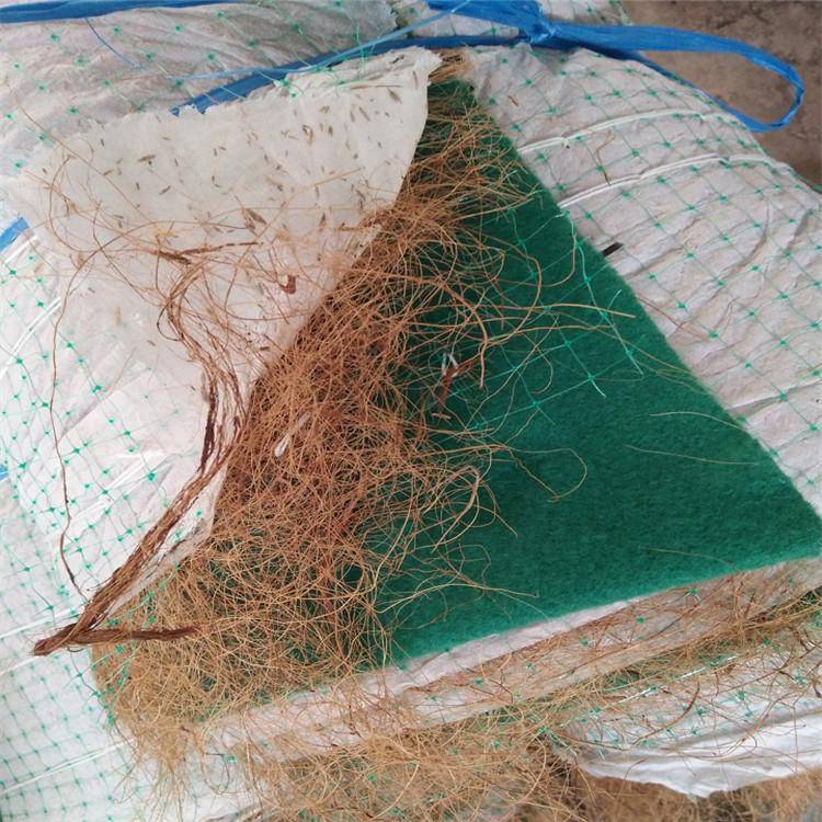 滨州生态环保草毯(椰丝草毯)椰纤植草毯