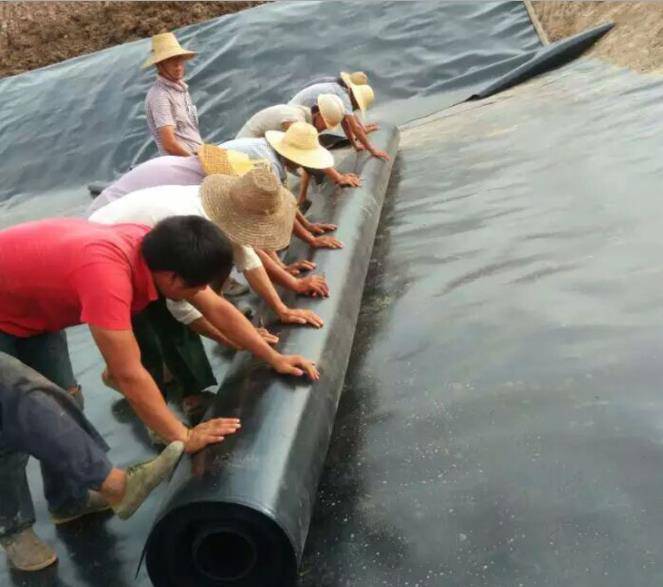 红河州红河县HDPE防渗膜-HDPE土工膜-HDPE防渗土工膜