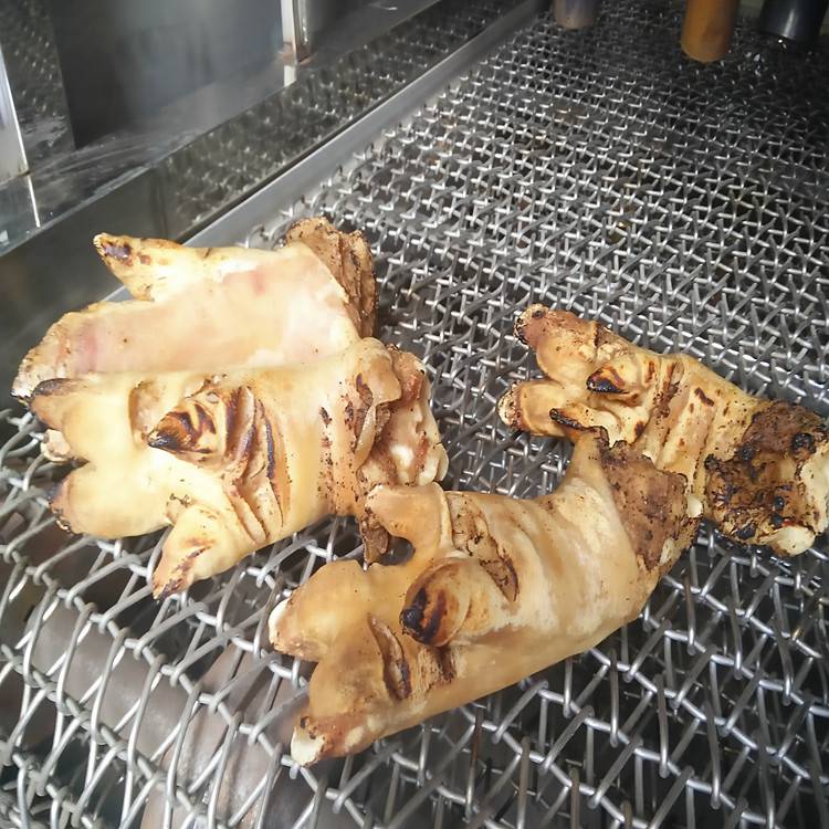 景翔牌肉制品烧毛机 羊头烧毛机 网带式烧毛设备