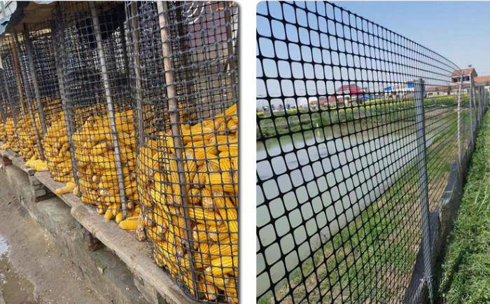 文山州西畴县养殖网-塑料养殖网-养殖养鱼网