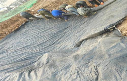 扬州人工湖防渗膨润土防水毯供应商2022已更新(派送直达)