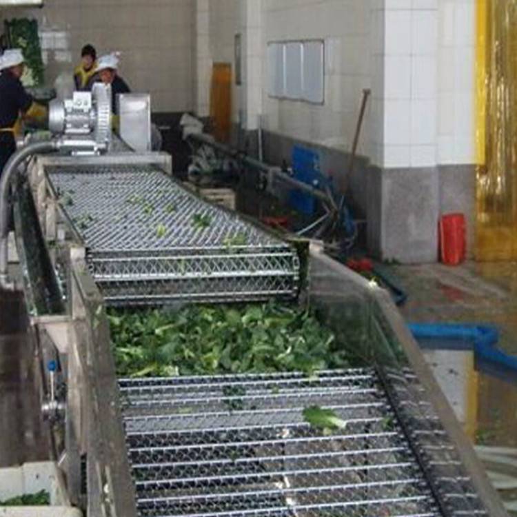 景翔牌野菜清洗机 ***清洗机 蔬菜气泡清洗机现货齐全