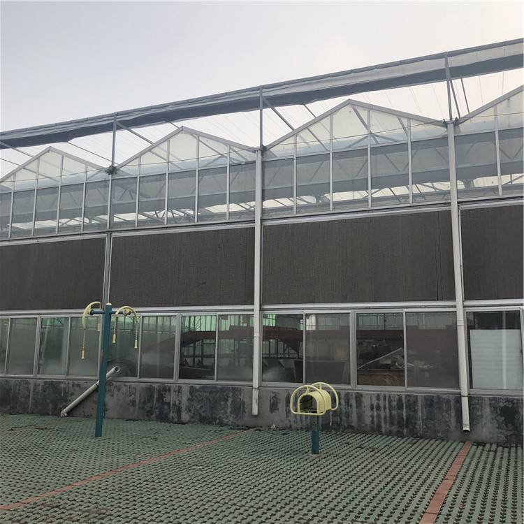 温室大棚温室玻璃大棚 玻璃温室的平方价格 农业智能玻璃温室大棚定制