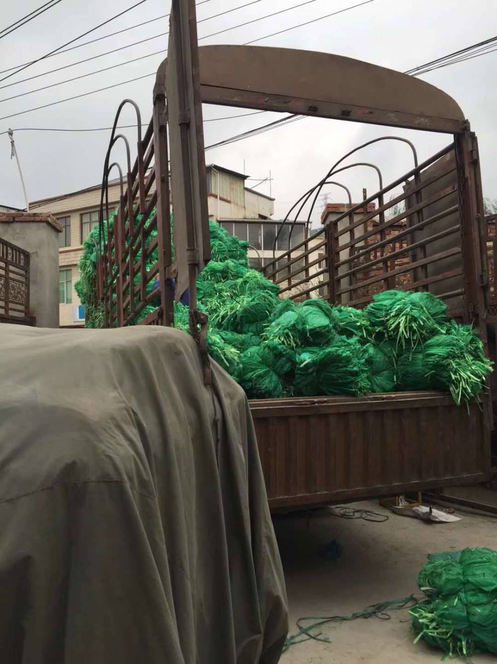 福贡县植生袋