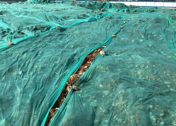 祥云县盖土抑尘绿化土工布