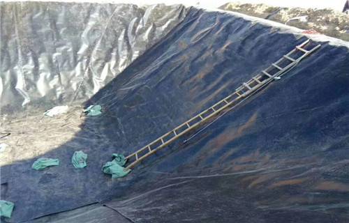 普兰店防渗土工膜厂家咨询2022已更新(全境直达)