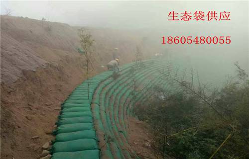 桂林环保生态袋生产企业2022已更新(派送直达)