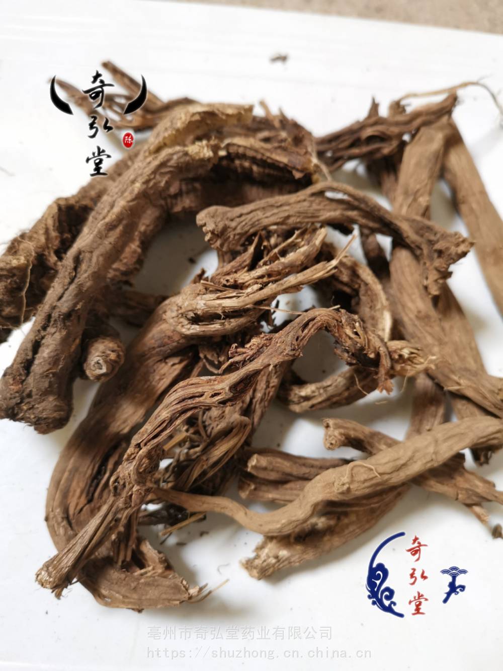 中药材独一味叶和独一味根的药用区别