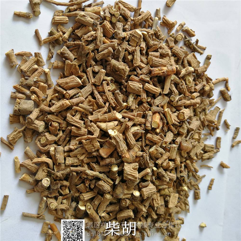 中药材柴胡功效与作用北柴胡黑柴胡银柴胡地熏茈胡山菜茹草柴草