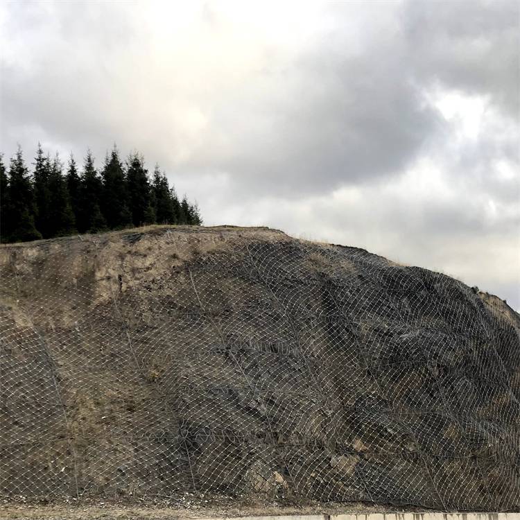 塔城SNS主动网销售/乌鲁木齐边坡防护网厂家/新疆捷信金业