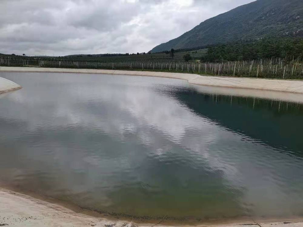 武定县水池防渗膜