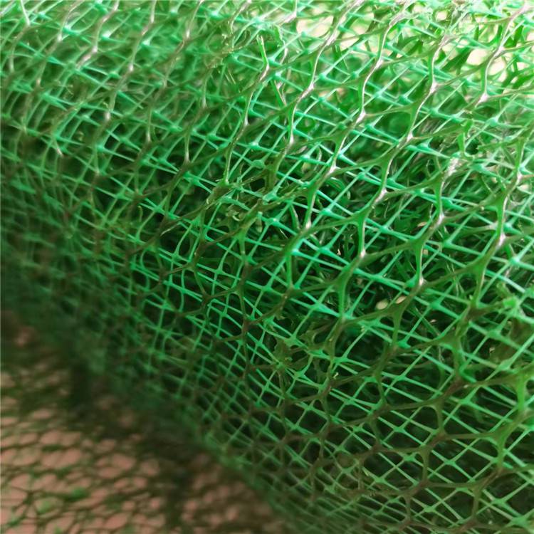 安庆三维植被网厂家(安庆市护坡三维植被网垫实业集团)