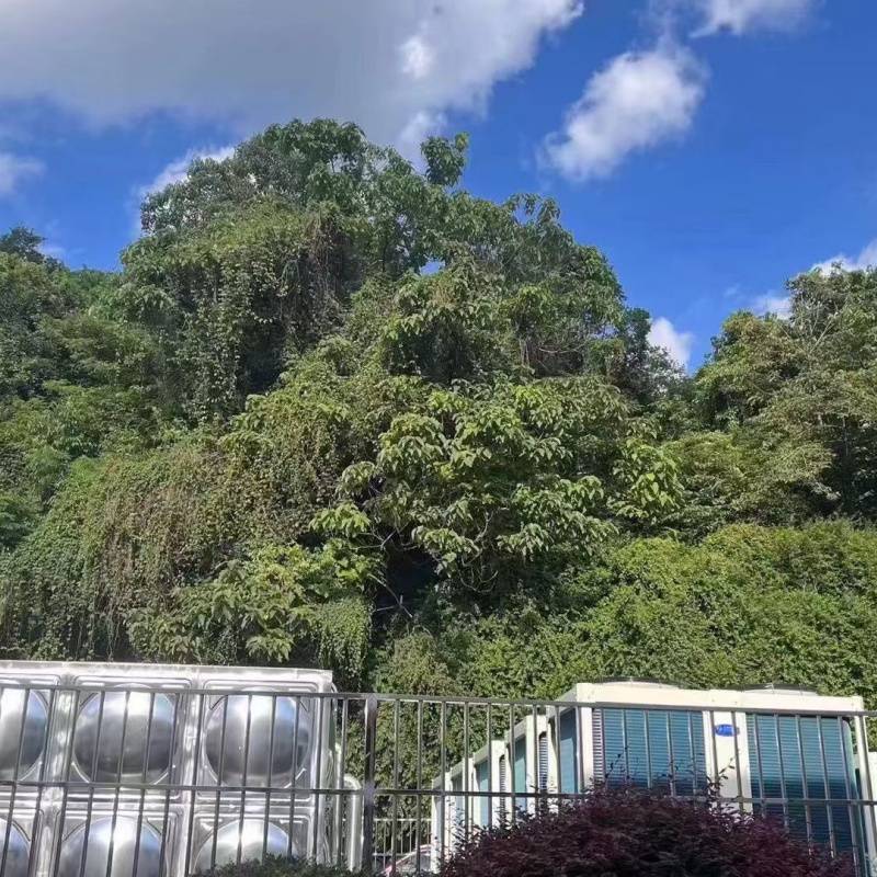 热水工程哪家好 空气源热水采暖系统