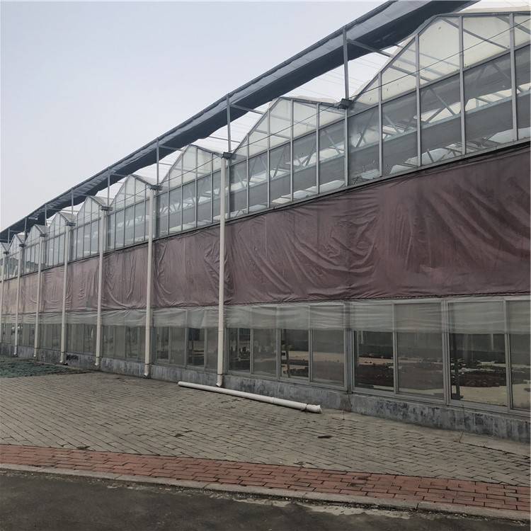 温室大棚温室玻璃大棚 玻璃温室的平方价格 农业智能玻璃温室大棚定制