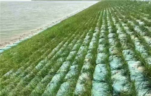 辽宁草种生态袋生产厂家2022已更新(派送直达)