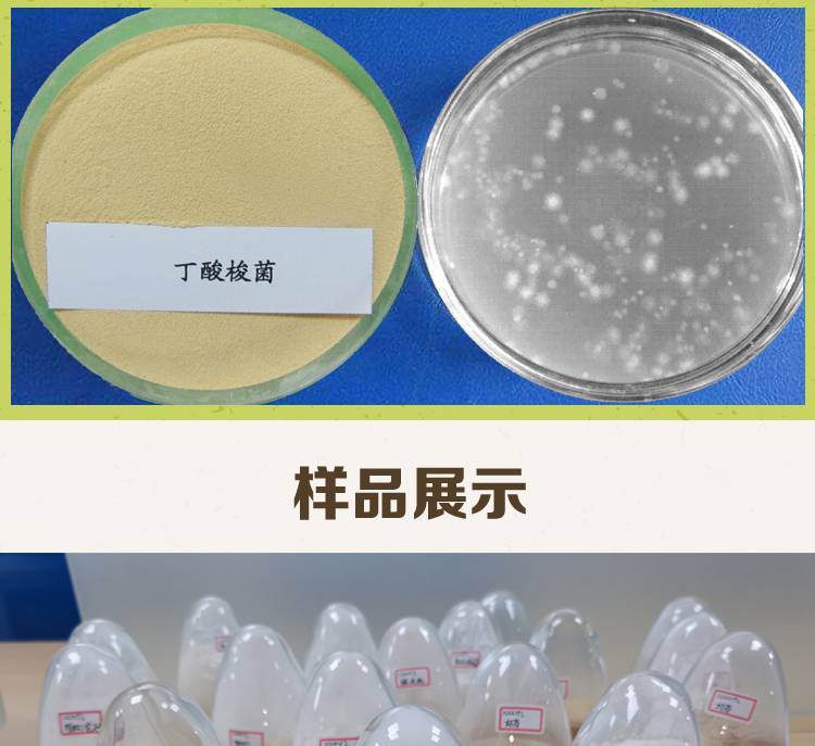 益昊生物20亿丁酸梭菌饲料添加水产养殖调节肠道量大优惠