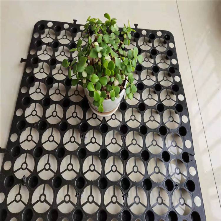 欢迎访问//蓄排水板厂家滨州/滨州市实业集团