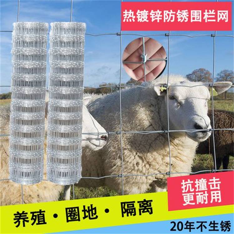 昌吉羊圈网价格/乌鲁木齐草原铁丝网厂家/新疆捷信金业