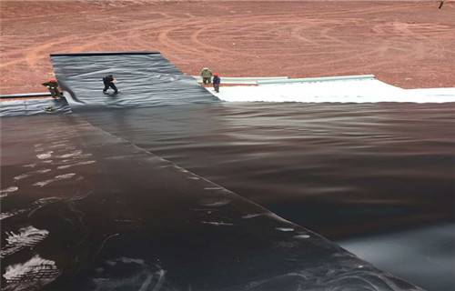 山东滨州20mmhdpe防水板本地经销