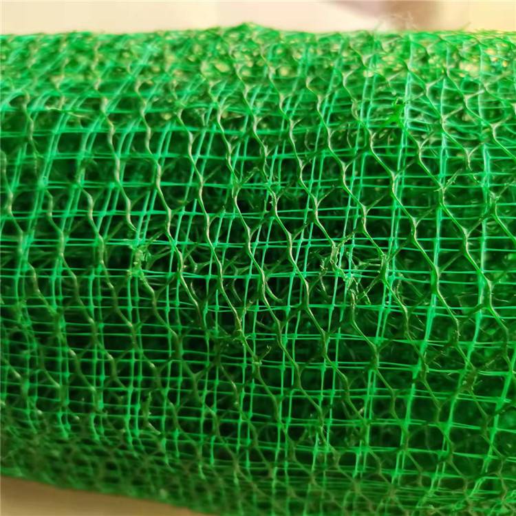 安庆三维植被网厂家(安庆市护坡三维植被网垫实业集团)