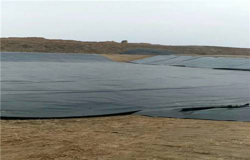 抚顺糙面防水板本地厂家2022已更新(派送直达)