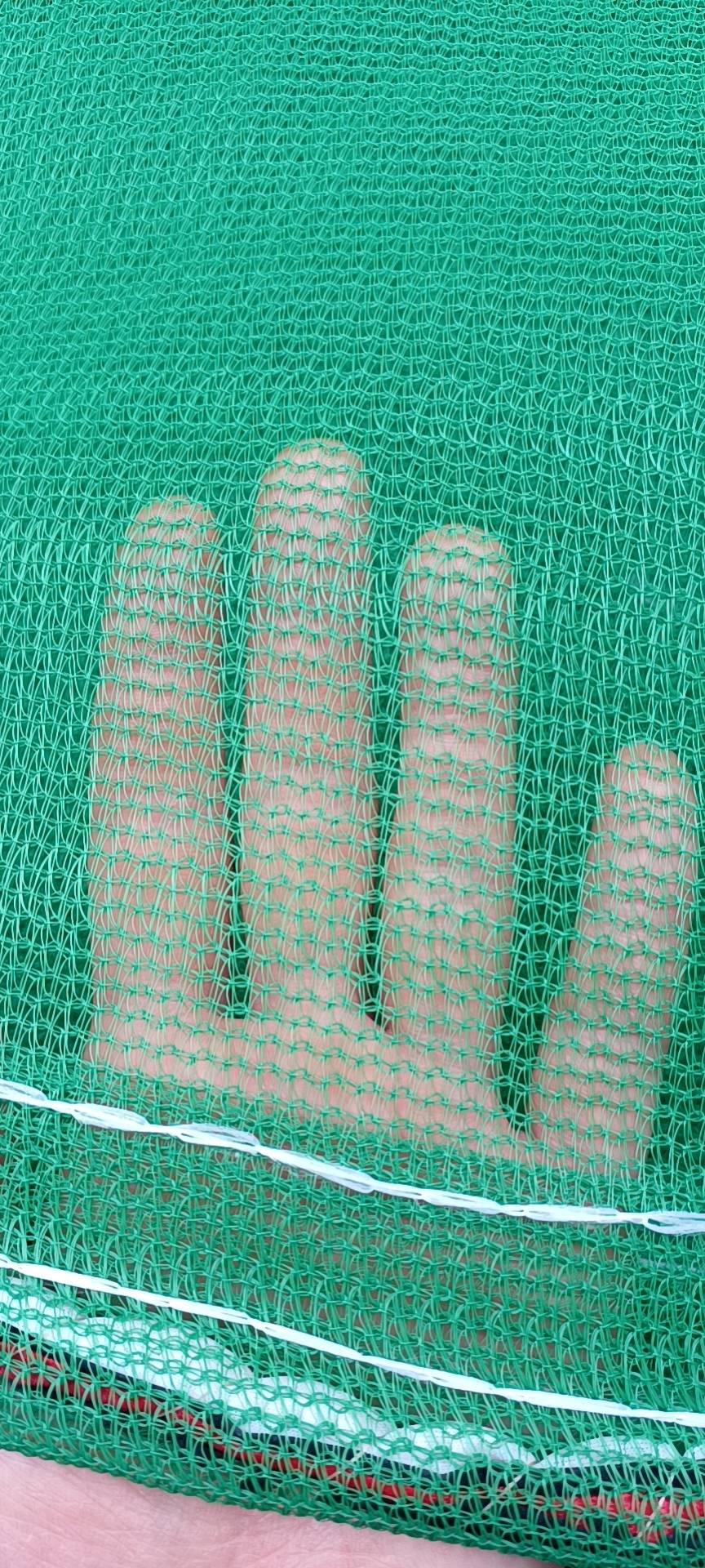 昆明昆明市安-6X1.8米密目网-密目式安