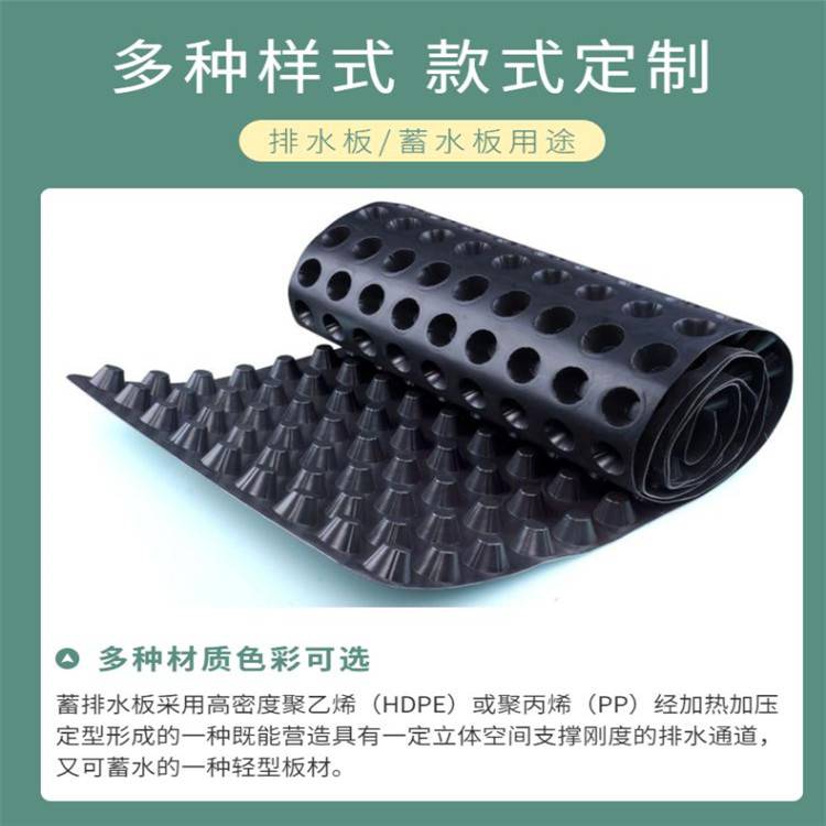 阆中蓄排水板厂家-泰东蓄排水板抗压300kpa