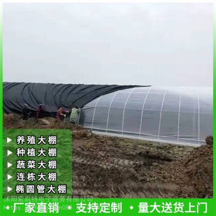 索凯特无土栽培大棚塑料蔬菜温室大棚价格出售