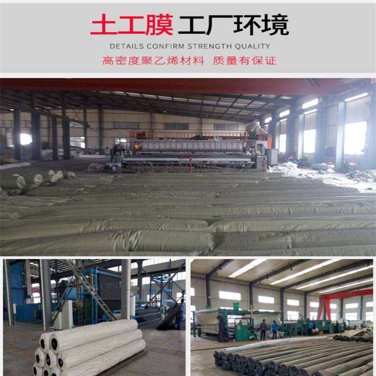 欢迎来访保定市/HDPE土工膜/保定-集团