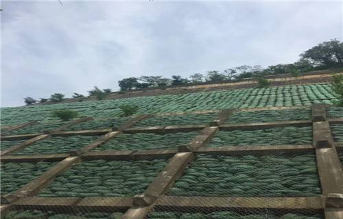 宁国抗冲生物毯欢迎您来电2022价格已更新