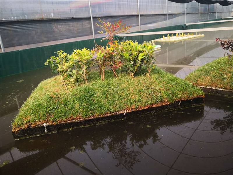 净化水质高分子复合纤维浮动湿地漂浮湿地福田湿地可以种植任意植物