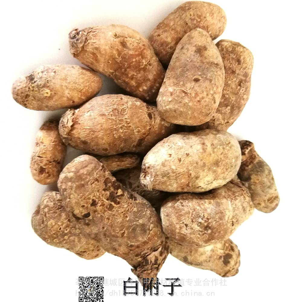白附子的功效与作用当年货禹白附子价格