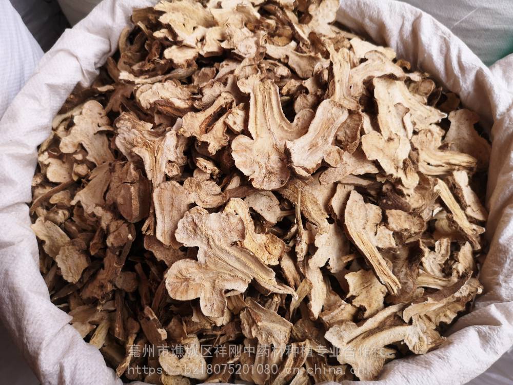 白术的功效与作用炒白术白术于术冬术
