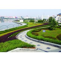 城市广场绿化设计 广场景观施工 广场绿化设计 广场景观规划 大型广场
