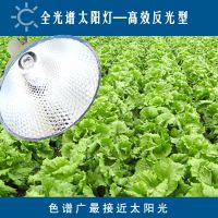 菲而森全光谱太阳灯