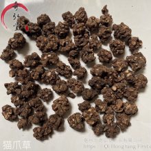 中药材猫爪草猫爪草药材实物实拍